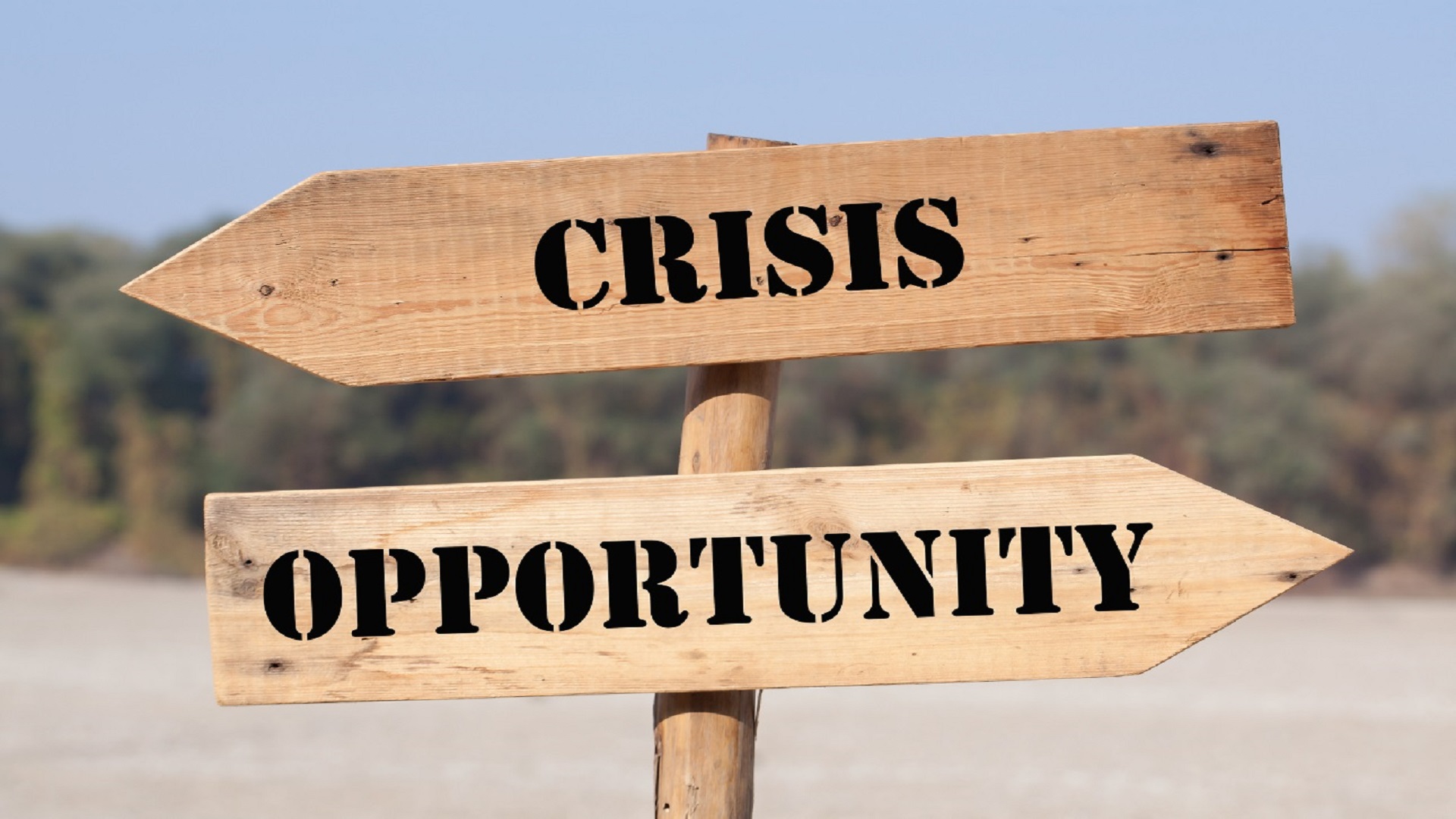 In Times Of Crisis And Opportunity, What Should You Do?