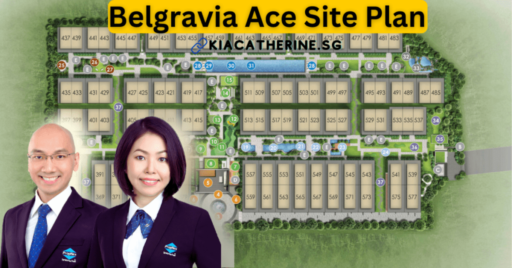 Belgravia Ace Site Plan
